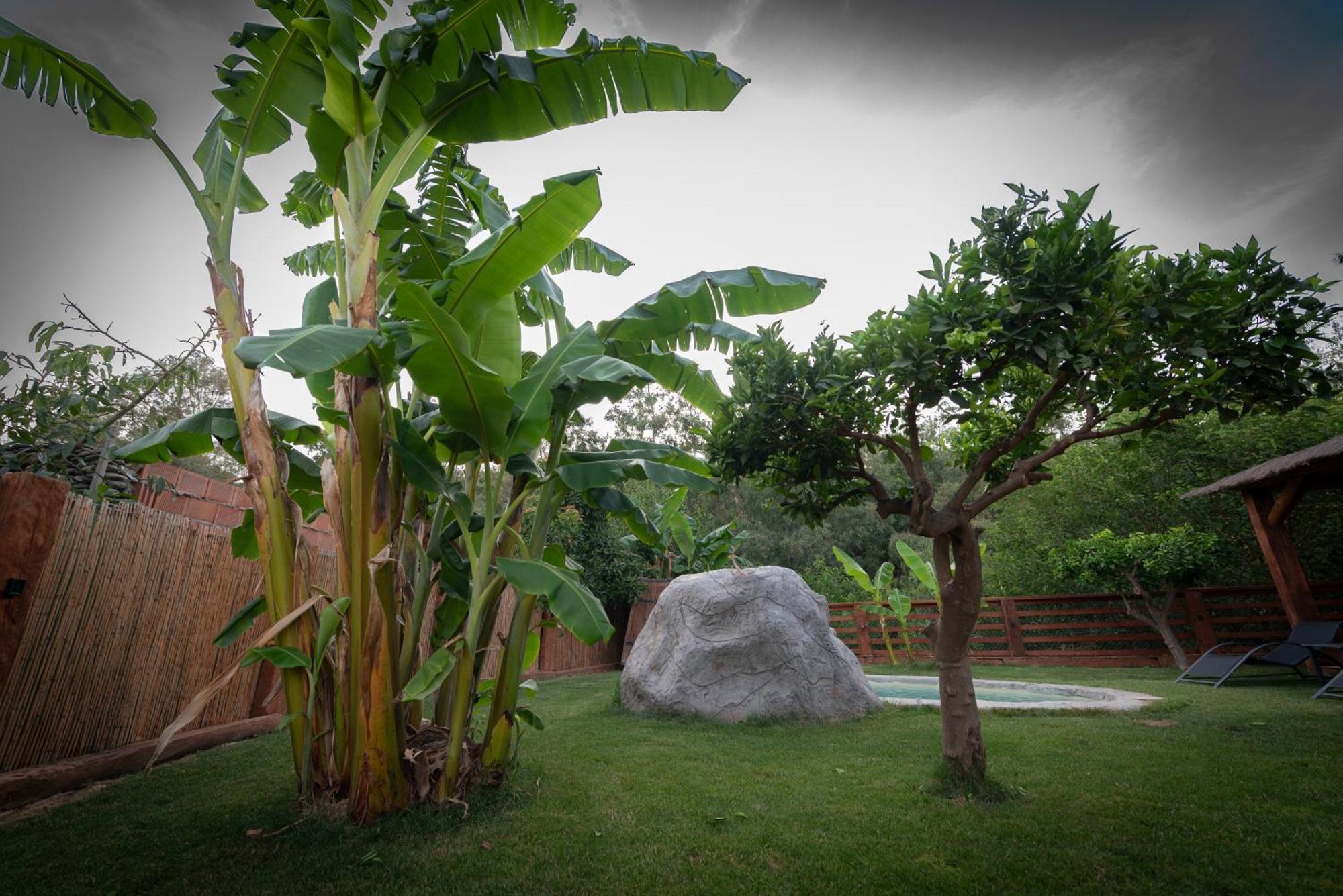 فيلا El Jardin Del Eden أورخيفا المظهر الخارجي الصورة