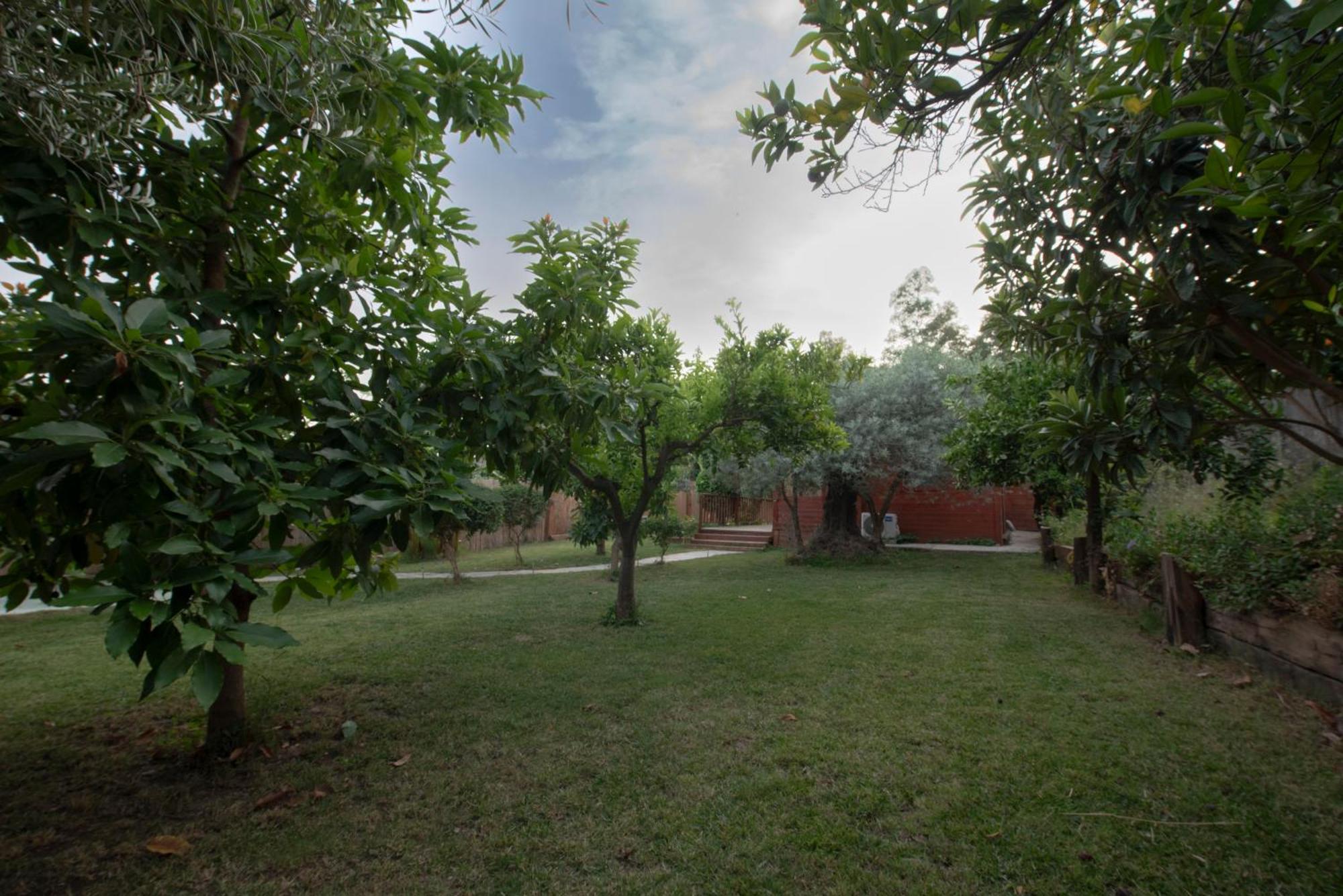 فيلا El Jardin Del Eden أورخيفا المظهر الخارجي الصورة